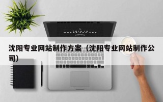 新疆沈阳专业网站制作方案（沈阳专业网站制作公司）